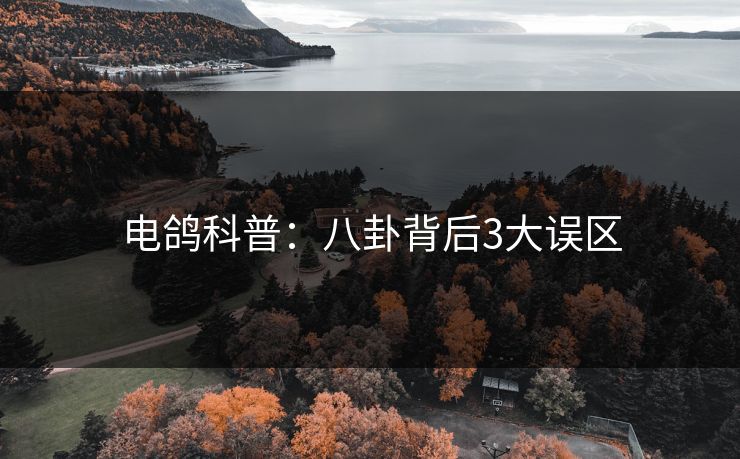 电鸽科普：八卦背后3大误区